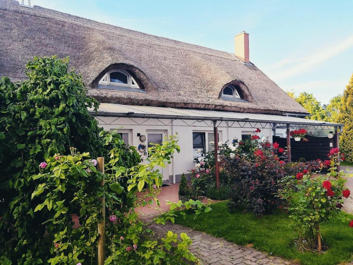 Reet Landhaus Rügen Ummanz Exterior foto
